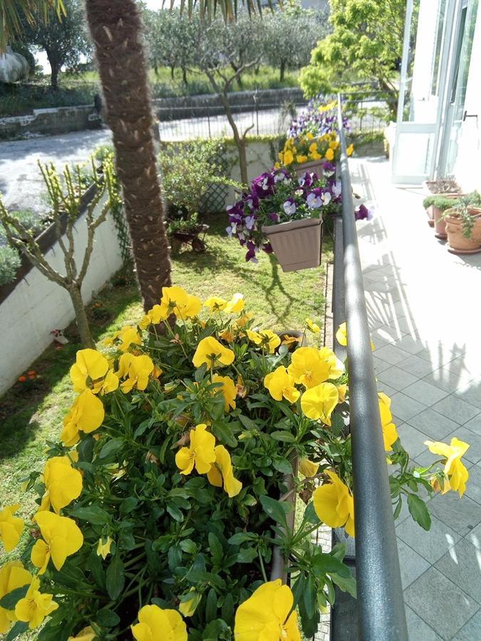 B&B Teranga Montecarotto エクステリア 写真